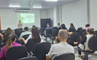 Tocantins revisa Plano Estadual de Contingência para Prevenção e Controle das Arboviroses