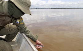 Governo do Tocantins ressalta início do período da Piracema