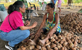 Com apoio do Governo do Tocantins, exposição "Somos Raimundas" destaca a força das quebradeiras de coco babaçu na região norte do estado