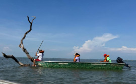 Governo do Tocantins realiza 1ª Conferência Estadual da Pesca 
