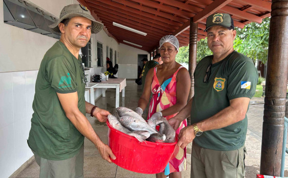 Governo do Tocantins intensifica fiscalização durante a Operação Piracema 