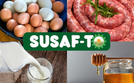 Com investimentos do Governo do Tocantins, adesão ao selo de garantia de produtos de origem animal cresce 212% em 2024