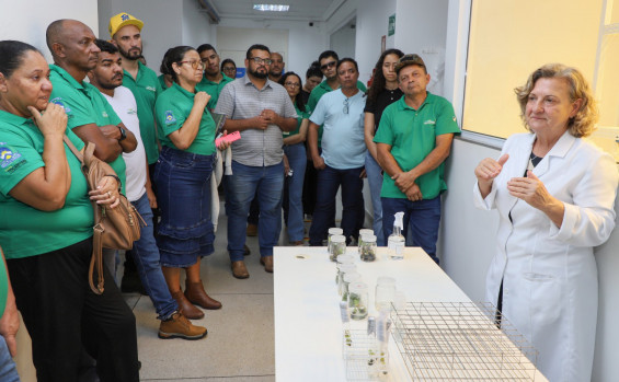 Governo do Tocantins promove intercâmbio em Goiás com técnicos do Ruraltins para fortalecimento da assistência técnica rural