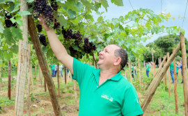 Para fortalecimento da assistência técnica rural, Governo do Tocantins promove intercâmbio no estado de Goiás