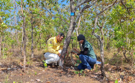 Naturatins conclui etapa de monitoramento de fauna no Parque Estadual do Lajeado
