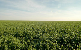 Governo do Tocantins reforça investimentos para o desenvolvimento da produção agrícola em 2024