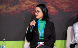 Governo do Tocantins destaca urgência de financiamento climático para combater incêndios na Amazônia Legal na COP 29