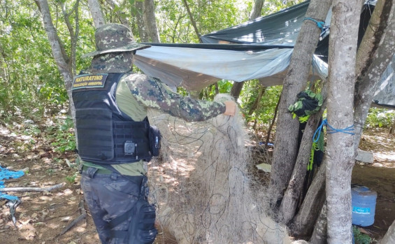 Durante a Piracema, Governo do Tocantins intensifica a fiscalização em todo o Estado