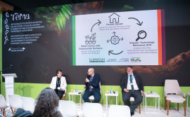 Tocantins apresenta soluções inovadoras para a Amazônia Legal durante a COP 29 no Azerbaijão