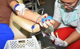 SES/TO realiza programação em homenagem ao Dia Nacional do Doador de Sangue