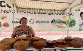 Em Natividade, Governo do Tocantins realiza a Feira da Colheita e a 23ª Expoagro com foco na inovação e capacitação rural