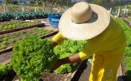 Governo do Tocantins garante ressocialização a custodiados por meio de projetos realizados na Unidade Penal Regional de Palmas