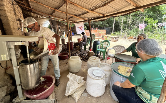 Naturatins fomenta cadeia produtiva da farinha de jatobá na APA do Jalapão 