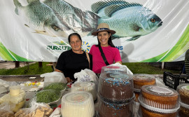 Governo do Tocantins impulsiona agricultura familiar com a 24ª Feira da Colheita em Pindorama
