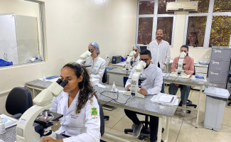 SES-TO promove capacitação sobre diagnóstico de Malária e Doença de Chagas