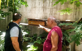 Governo do Tocantins reforça ações de vigilâncias e o cadastramento de meliponários urbanos