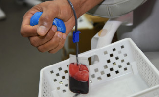 Governo do Tocantins celebra alcance da meta de doadores de medula óssea em 2024