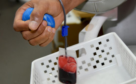 Governo do Tocantins celebra alcance da meta de doadores de medula óssea em 2024