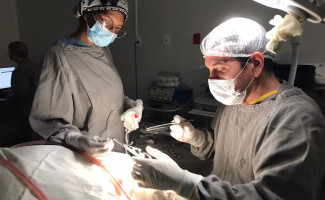 Hospital Regional de Paraíso realiza mais de mil cirurgias eletivas em 2024