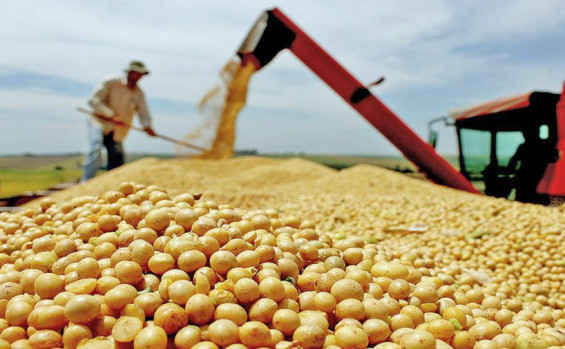 Governo do Tocantins investe na agropecuária e fortalece o setor rural