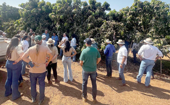 Governo do Tocantins investe na agropecuária e fortalece o setor rural