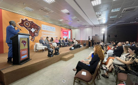 SES/TO participa do Seminário Equidade Étnico-racial nas Redes de Atenção à Saúde