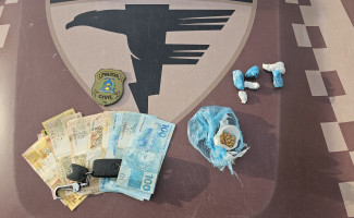 Com o auxílio de cão farejador, ação conjunta entre Polícias Civil e Militar localiza drogas e simulacro de arma de fogo em Arraias