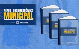Governo do Tocantins divulga perfil socioeconômico dos 139 municípios do estado