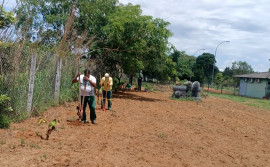 Naturatins implementa sistema agroflorestal no Centro de Fauna do Tocantins
