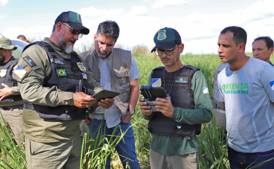 Submissão do REDD+ ao padrão Art Trees e fortalecimento de políticas ambientais marcam compromisso do Governo do Tocantins com o futuro sustentável