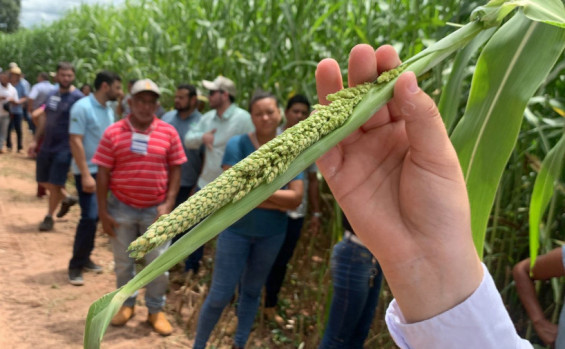 Governo do Tocantins investe em tecnologia e capacitações para impulsionar o desenvolvimento rural no estado