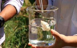 Com investimento de mais de R$ 24 milhões ao longo do ano, Governo do Tocantins impulsiona avanço da Ciência, Tecnologia e Inovação no estado