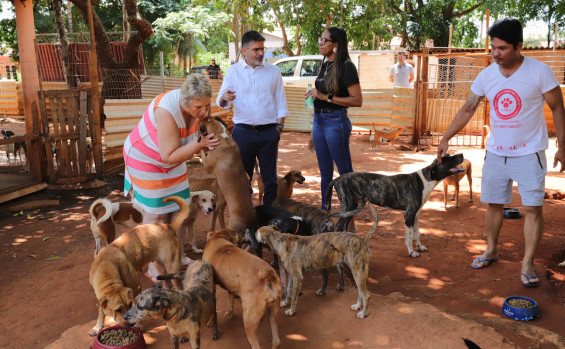 Governo do Tocantins entrega 1,5 tonelada de ração arrecadada na campanha NatAU MiAU 