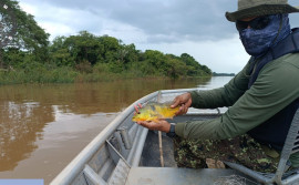 Naturatins reforça ações de educação ambiental e fiscalização para proteger recursos naturais no Tocantins
