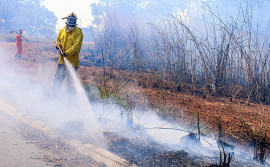 Em ano marcado por eventos climáticos, Governo do Tocantins atua de forma rápida e coordenada na proteção e na conscientização da população