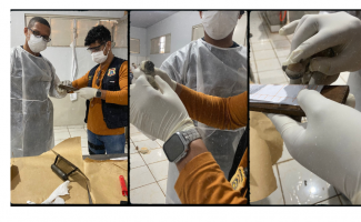 Entenda como funciona o trabalho de identificação dos corpos das vítimas do desabamento da Ponte JK feito por papiloscopistas do Tocantins