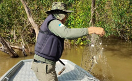 Fiscalização do Naturatins apreende 2 mil metros de redes de pesca no norte do Estado