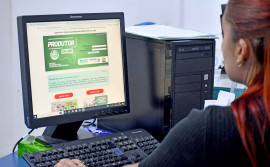 Governo do Tocantins fornece gratuitamente o extrato de movimentação do rebanho para fins de declaração 