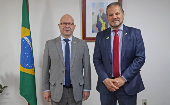 Governo do Tocantins participa de ato nacional em defesa da democracia realizado em Brasília nesta quarta-feira, 8 