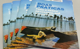 Governo do Estado cria manual de boas práticas para a pesca artesanal no Tocantins