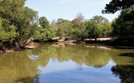Boletim Climático e de Riscos de Incêndio aponta que nível das águas dos rios no estado continuam a subir superando 2024