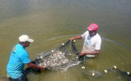 Governo do Tocantins viabiliza concessão de área aquícola para a Associação de Aquicultores de Porto Nacional
