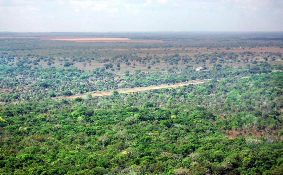 Governo do Tocantins regulamenta Cadastro Ambiental Rural e Programa de Regularização Ambiental 