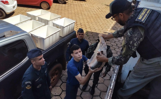 Naturatins apreende mais de 2 toneladas de pescado durante a operação Guardiões do Lago