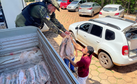 Naturatins apreende mais de 2 toneladas de pescado durante a operação Guardiões do Lago