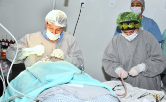 Governo do Tocantins aumenta em 159% a produção de cirurgias eletivas nos últimos três anos