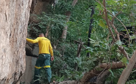 Naturatins promove ações para conservação de sítios arqueológicos na APA Serra do Lajeado