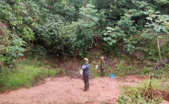 Governo do Tocantins realiza investigação e assessoria técnica sobre febre amarela em Monte do Carmo