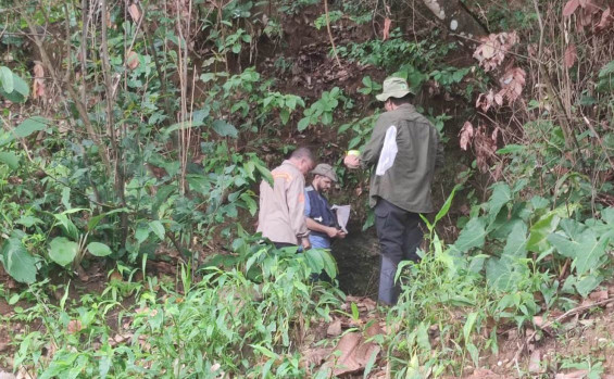 Governo do Tocantins realiza investigação e assessoria técnica sobre febre amarela em Monte do Carmo