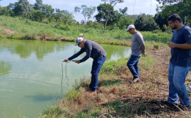 Governo do Tocantins promove ações para ampliar número de cadastro de piscicultura no estado